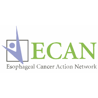 Knock Cancer Out of the Park! - Esophageal Cancer Action Network